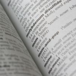 ‘OMG’ and ‘Bromance’ – Additions to English dictionaries