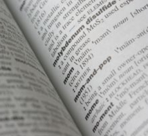 ‘OMG’ and ‘Bromance’ – Additions to English dictionaries